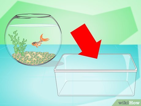 ¿Cómo se cambia el agua de un acuario?