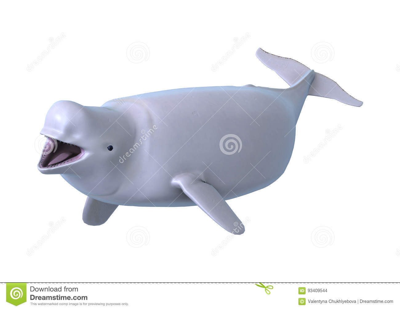 ¿Cómo se llama la ballena blanca?