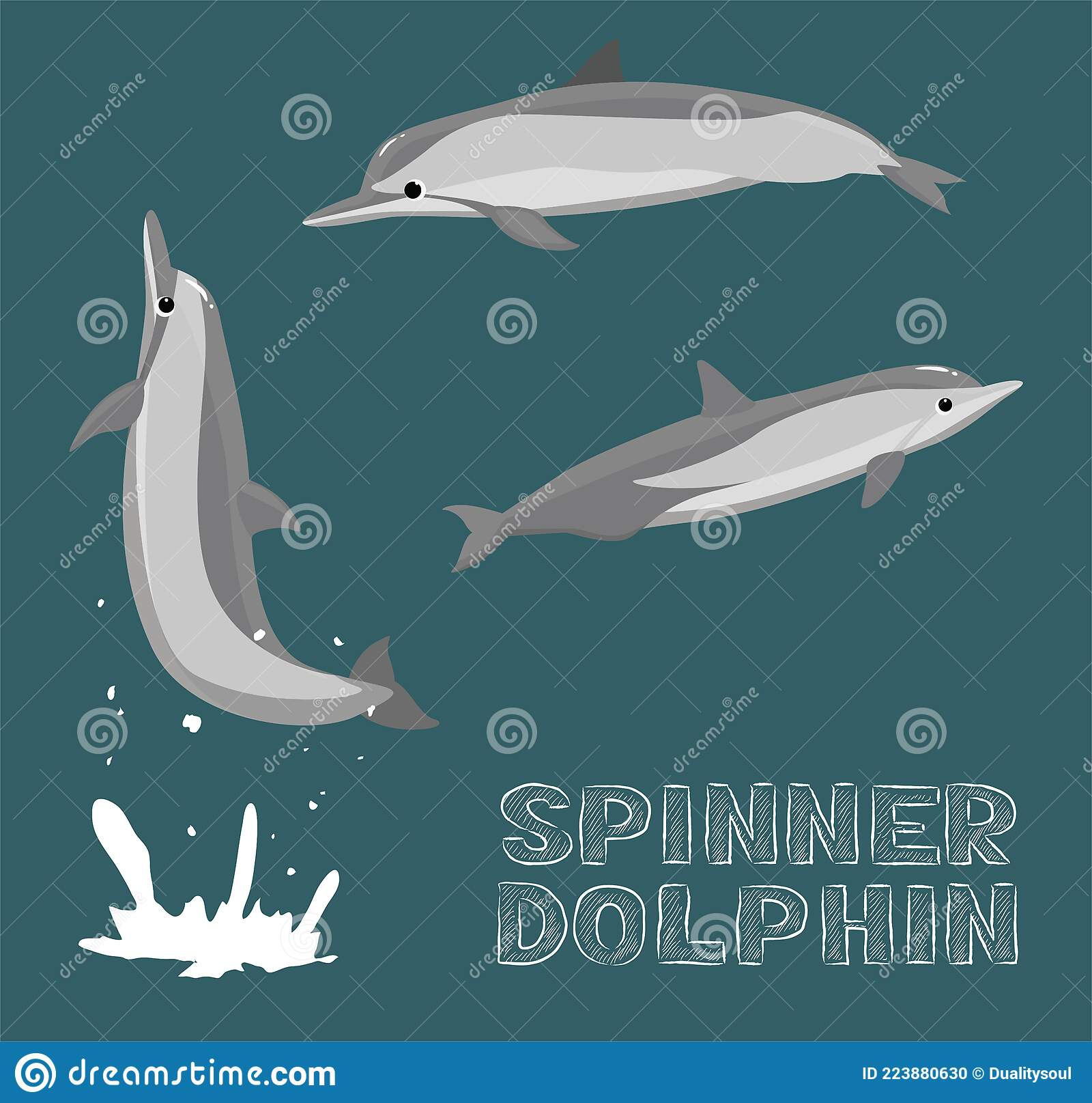 ¿Que saber de los delfines?
